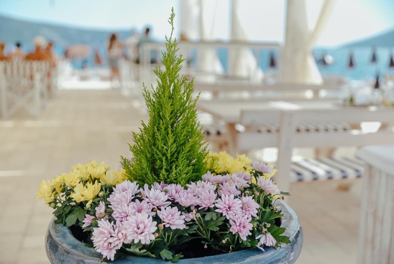 Apartmani Laban Herceg Novi Exterior foto
